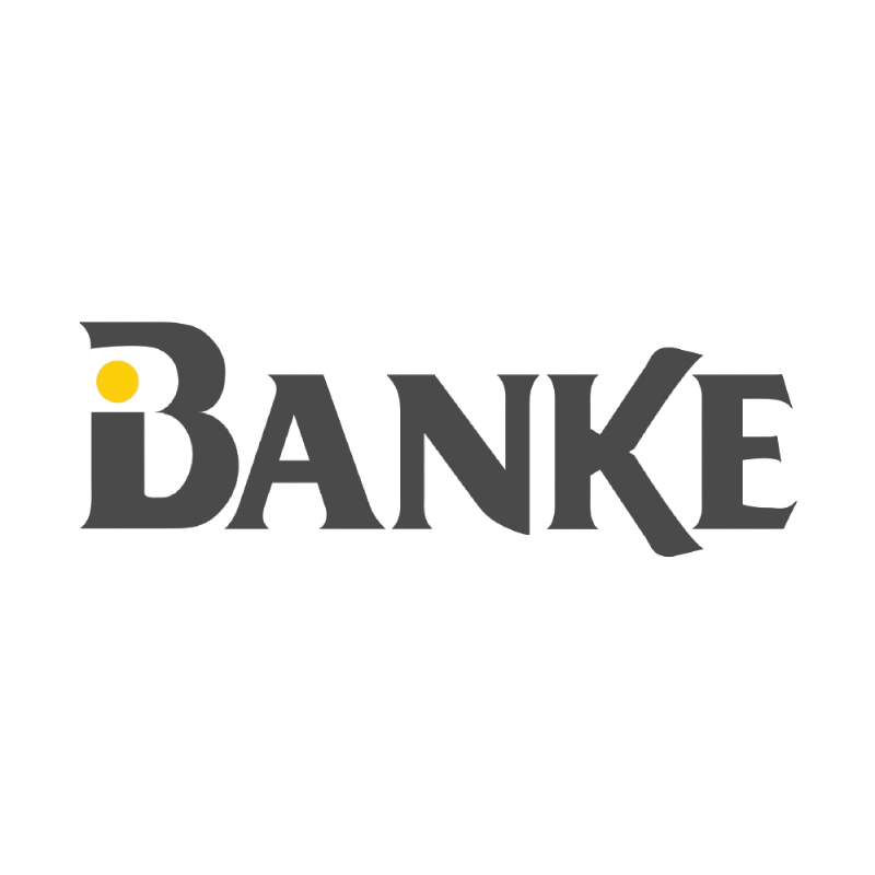 Banke International Properties LLC logo