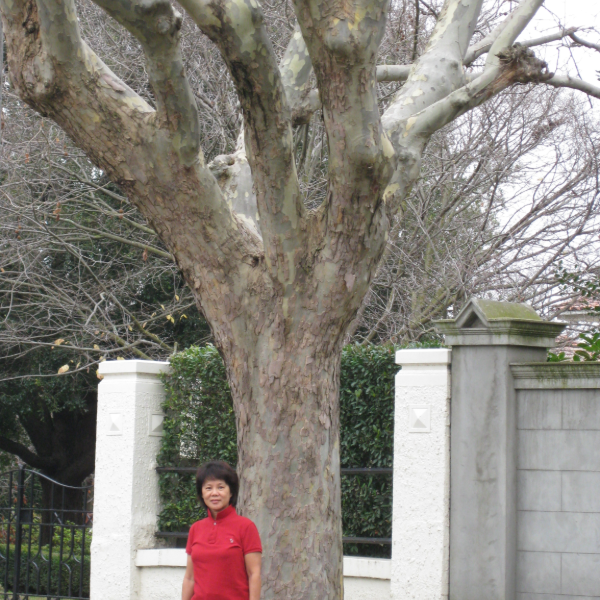Janet Lau