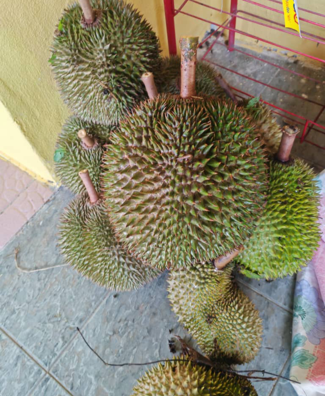 No Image