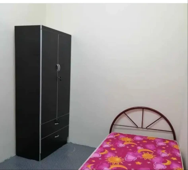 No Image