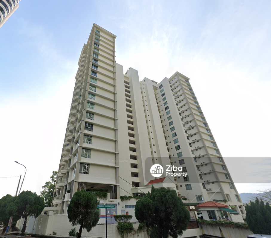 The Waterfront Condominium