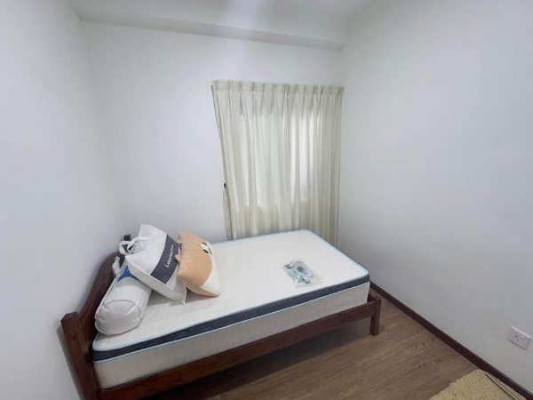 No Image