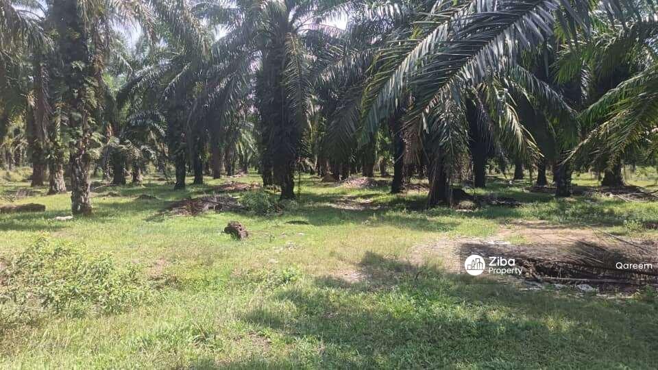 Kelanang