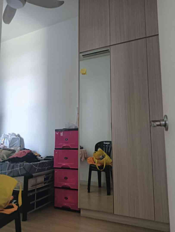No Image
