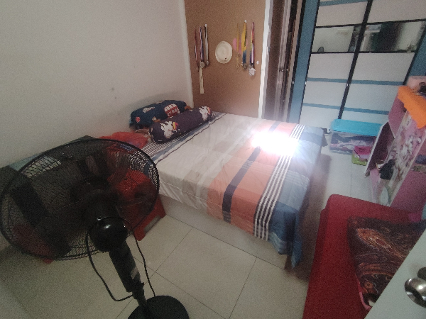 No Image
