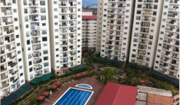 No Cover