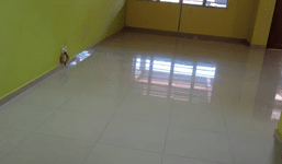 No Cover