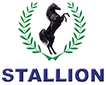 Stallion Group