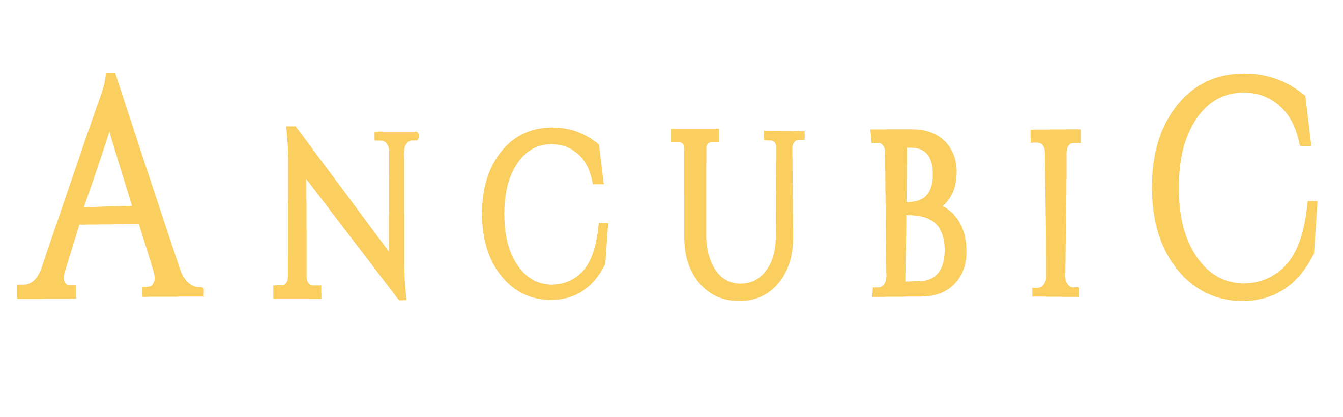 Ancubic Capital Sdn. Bhd.