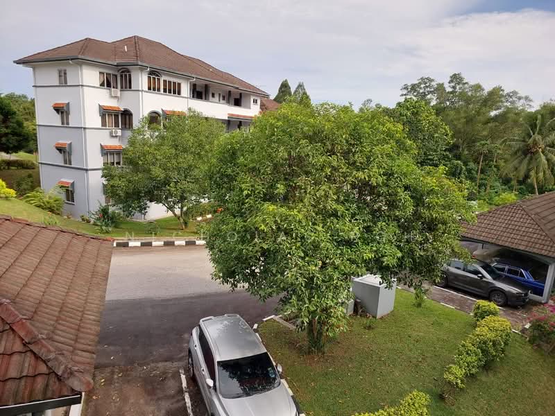 Allamanda