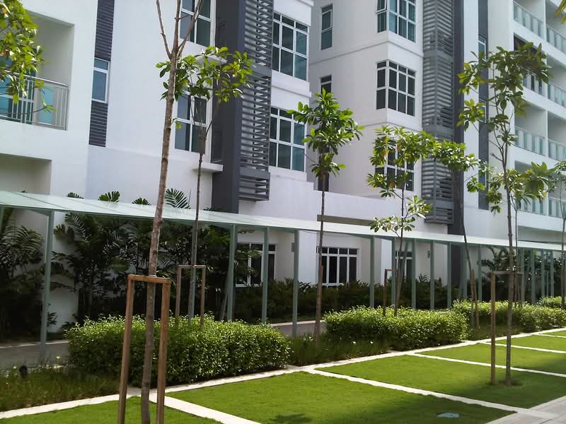 Amaya Saujana