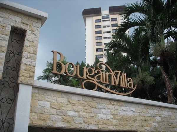 Bougainvilla