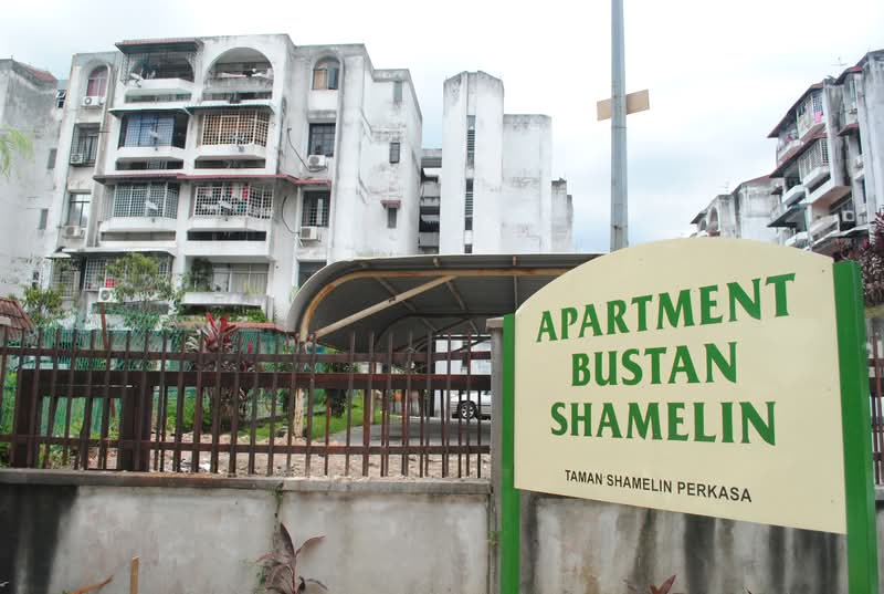 Bustan Shamelin