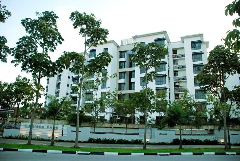 Carissa Park