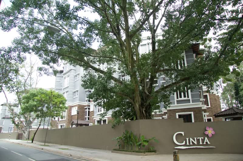 Cinta