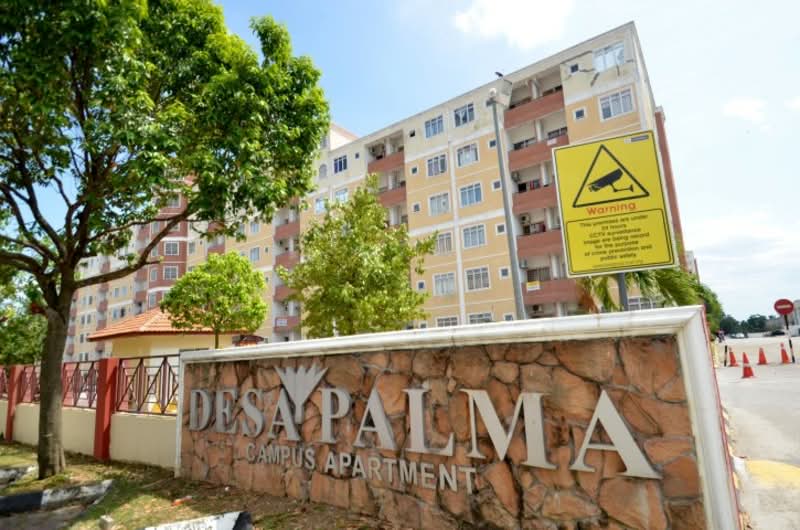 Desa Palma